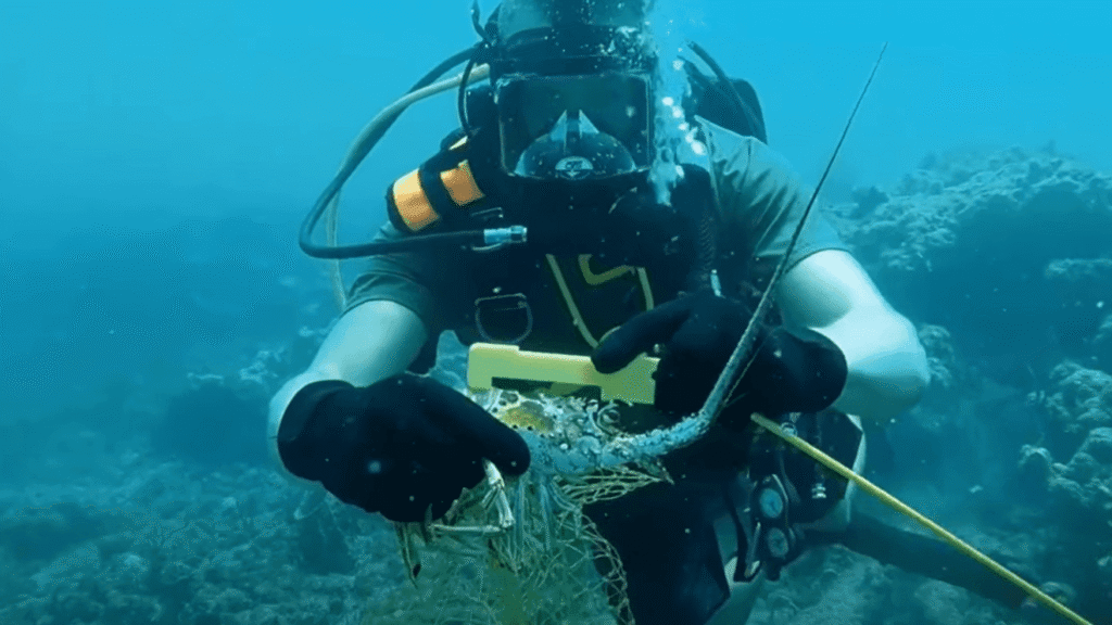 Florida lobster mini season begins as wildlife officers stress rules, safety - WPEC
