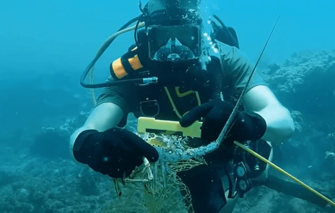 Florida lobster mini season begins as wildlife officers stress rules, safety – WPEC
