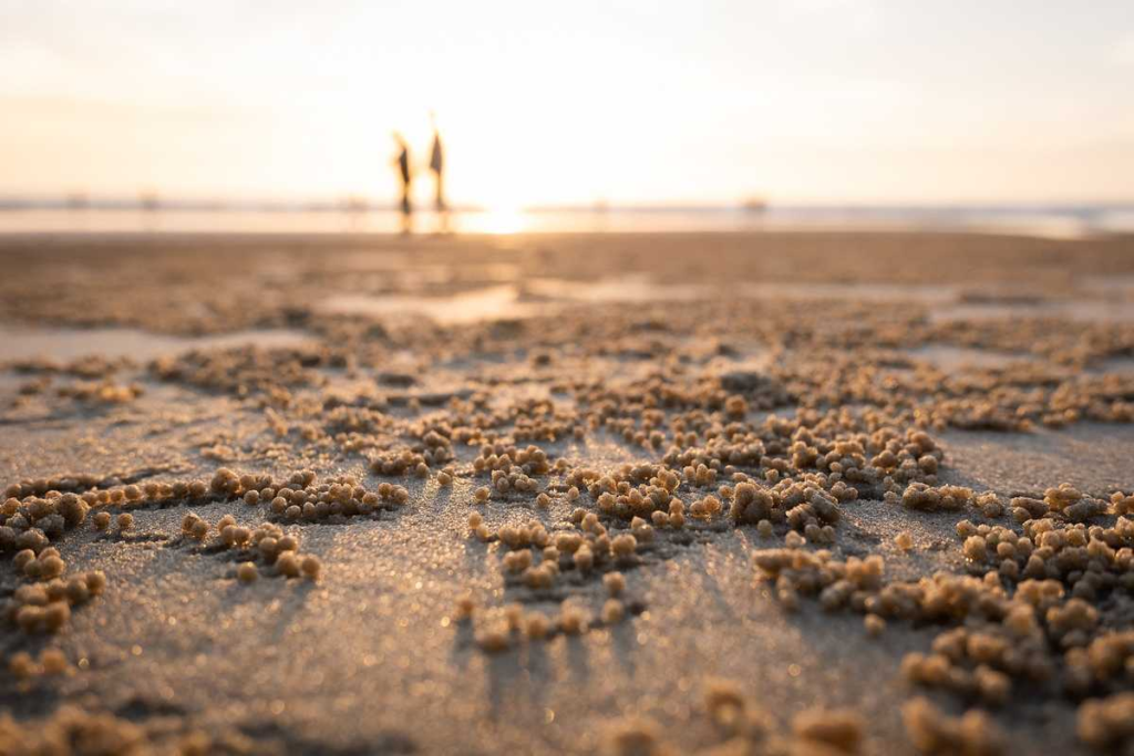 Fun things to do on the Treasure Coast and in Palm Beach this weekend - WPBF